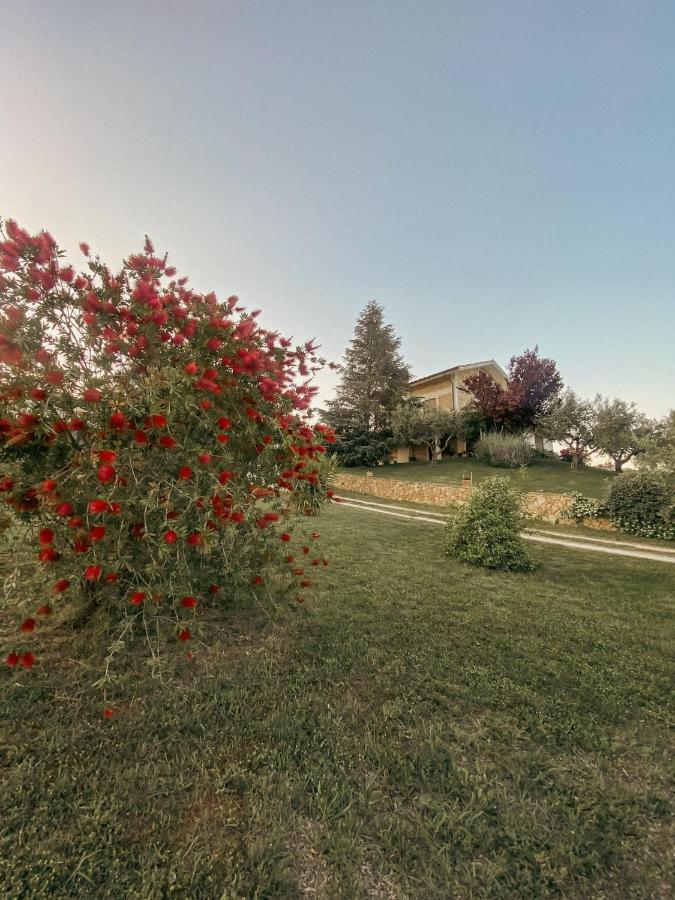 Bed and Breakfast Bed & Breakfast Le Coccinelle Rosciano  Exteriér fotografie