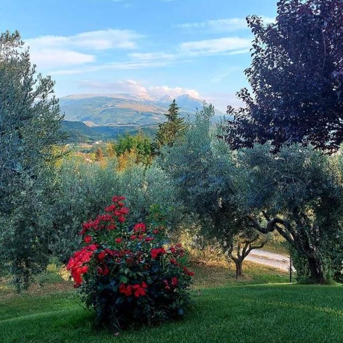 Bed and Breakfast Bed & Breakfast Le Coccinelle Rosciano  Exteriér fotografie